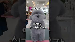 국비애견미용학원 다닐필요 없는 이유  #애견미용 쉽죠 #강아지미용 재미있죠 #애견미용사자격증 무용지물이죠~ㅋㅋㅋ