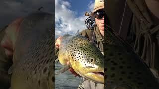 Watch the full video on my channel#fishing #flyfishinglife #troutfishing #flyfishing