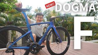 The ALL NEW Dogma F 20257 Major Upgrades vs Last Gen ft Luxter Blue ENG sub available