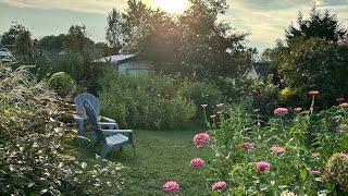  Late Summer Cottage Garden Tour