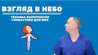 Упражнение "Взгляд в небо". Техника выполнения Гимнастики для шеи Доктора Шишонина