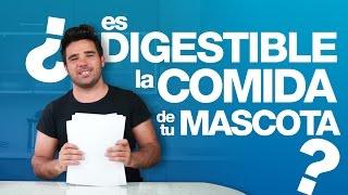 ¿Es digestible la comida de tu mascota?