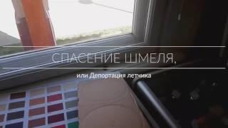 Спасение шмеля, или Депортация летчика