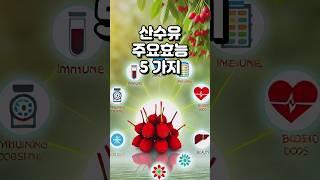 산수유 효능 5가지 #산수유 추천상품 '설명' 참조(화면 길게 누르기)