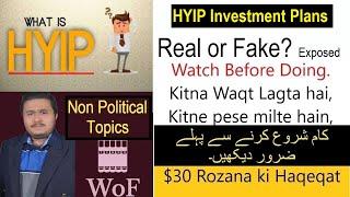 HYIP High Yield Investment Sites | Explained | Real or Fake | Exposed |Legit Ways to Earn Part # 12