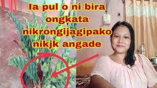 Angni pul ge.gipaoni me.mang ong.kata//H koksi sangma