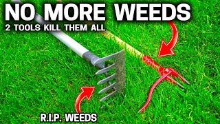 2 Must Have Tools to Conquer All Weeds