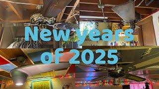 2025 New year’s special: ceiling fan display