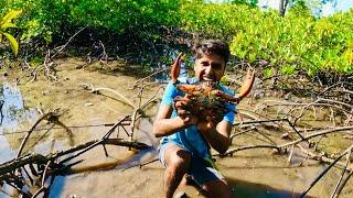 এবার জোয়ারে ভালোই কাকড়া উঠেছে ​⁠@ANDAMAN_HUNTERS