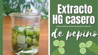 Extracto HIDROGLICERINADO de PEPINO casero | Activo hidratante y antioxidante