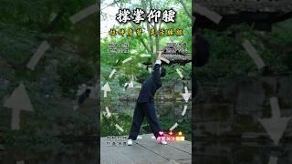 道家养生功法！ #kungfu #中國醫 #dance #居家運動 #養生 #锻炼 #正能量 #道家