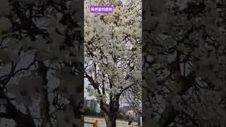2025년 4월 5일