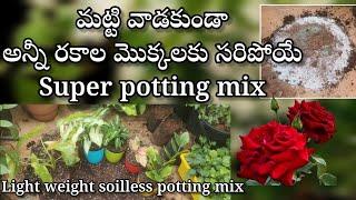 soilless potting mix for any plants | soil mix |indoor plants