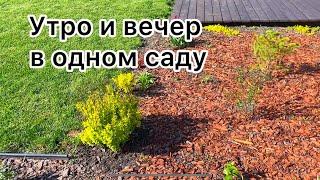 Прогулка по саду! В Сибирь пришло лето!