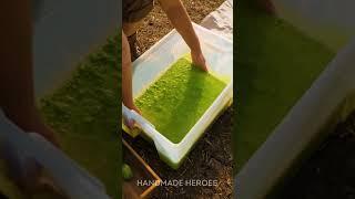 Turning Cow’s Milk Into Natural Paper?! 