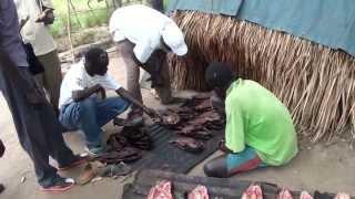 Fisherfolk in the Sudd of South Sudan (Part 2) Terakeka 2012