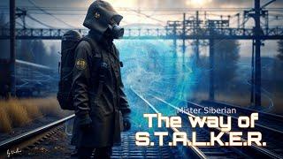 10 | The way of Stalker | На куче мусора есть тайник. Надо проверить