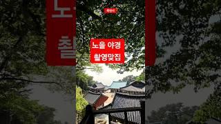 낮의 고즈넉함과 도심의 불빛이 어우러진 풍광~~#산신각#대웅전#시티뷰#영도