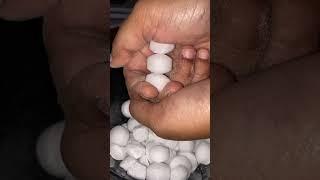 Bengal chemicals Naphthalene balls crushing ️#asmr #satisfying #mothballs #youtube #crushing