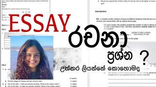 රචනා ප්‍රශ්ණ වලට උත්තර ලියන්න පුරුදු වෙන්නේ කොහොම ද?  | Essays and Structured Essays