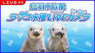 鳥羽水族館ラッコ水槽ライブカメラ  TOBA AQUARIUM SEA OTTER LIVE CAMERA