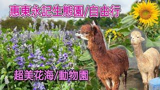 【惠州自由行】~惠東永記生態園，園子超大，花海果蔬及動物園，竟然還有海獅表演，適合旅游放鬆的好地方