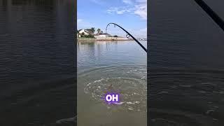 SIGHT CASTING REDFISH!!!