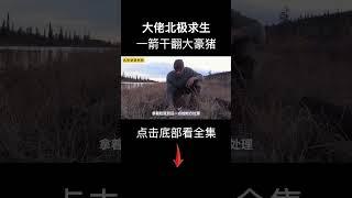 北極荒野求生，大佬一招幹翻大豪豬！ #荒野求生 #alone #荒野独居
