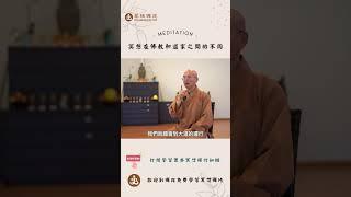 冥想在佛教和道家之間有什麼不同？|  訂閱免費學習冥想| 歡迎線下來菩提禪苑免費學習冥想| What is meditation? Learn meditation #冥想 #meditation
