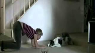 Downward Facing Dog  Partner Exercise