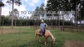 How to Discourage a Horse From Grazing While Riding Preview