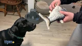 Dogs React to the Floppy Fish Dog Toy! *HILARIOUS* | TTPM Pet Reviews