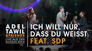 Adel Tawil feat. SDP "Ich will nur, dass du weißt" (Live aus der Wuhlheide Berlin)