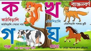 Bangla Bornomala | ছন্দে ছন্দে ব্যঞ্জনবর্ণ শিখি | Bangla Banjonborno | বাংলা ব্যঞ্জনবর্ণ ক খ গ ঘ ঙ চ