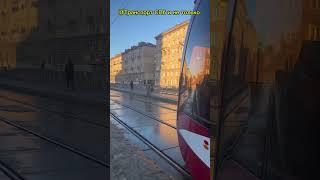 ️Январь 2025️ Трамваи Санкт-Петербурга #спб #топ #зима @SanktPetersburg22