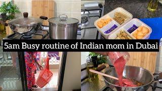 Busy routine of mom in Dubai | Honey Garlic Chicken | Tomato Chutney recipe