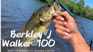 berkley j walker 100 largemouth bass