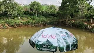 Đất làm phân lô, nghỉ dưỡng tại trung tâm Bảo Lộc quy hoạch full thổ cư có 200mTC