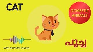 Domestic Animals | നാട്ടുമൃഗങ്ങൾ | Learn Domestic Animals Sounds and Names