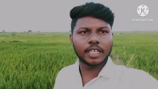 Village ka Vlog Video Dhan wala Agar dekhana chahte hai to Mera video ko like  #Rajavlog25