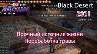 Прочный источник жизни. Black Desert Фарм серебра 2021. Алхимия.