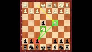 Chess for Beginners. Chess Openings #4. Opening Examples. Eugene Grinis. Chess