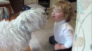 Kisses for Misty