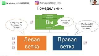 Маркетинг план Атоми для начинающих  Часть 1