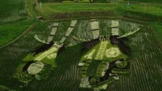 HD Japanese Rice Paddy Art ( 日本の水田アート) (日本稻田艺术)