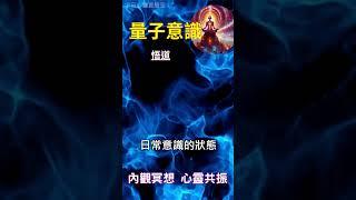 量子意識 悟道：內觀冥想 心靈共振 #開悟 #覺醒 #靈性成長