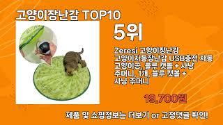 고양이장난감 추천 TOP10