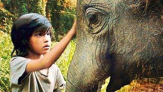 My Elephant Best Friend | Full Movie