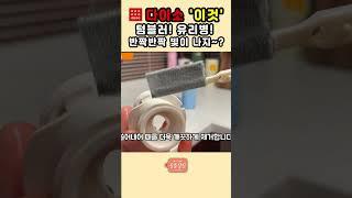 다이소 틈새 세척솔 #shorts 다이소 꿀템, 다이소 살림템 다이소 #다이소 #다이소꿀템 #다이소추천템 #다이소추천 #다이소신상 #daiso #살림