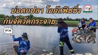 29 พฤศจิกายน 2567 ตกปลาบ่อเหมา บ่อตกปลาโอกัสฟิชชิ่ง กินจัดวัดกระจายปลาแน่นๆEP.25 ยี่สก นิล ไซร์สวยๆ